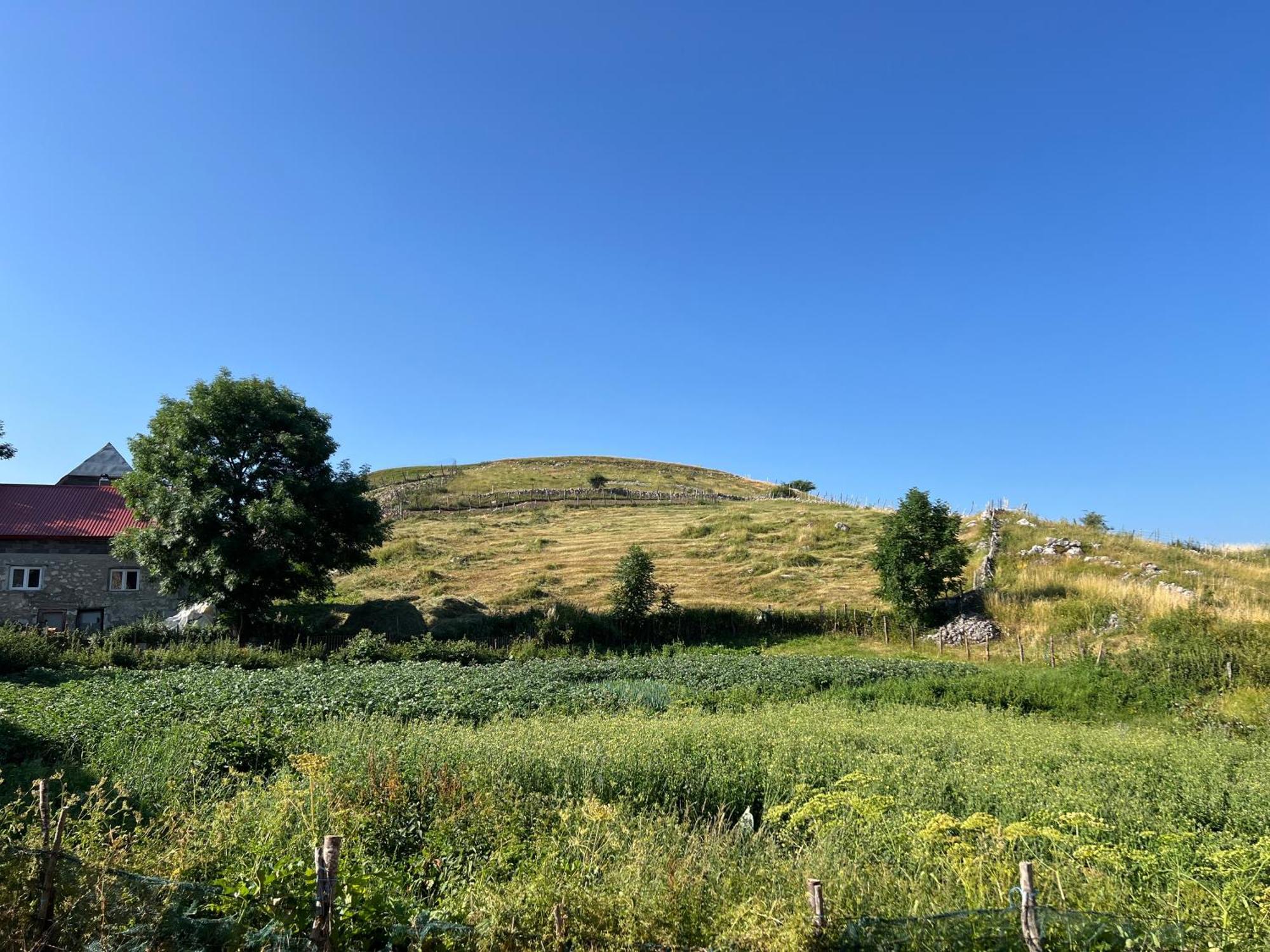Kod Kapetana Tea Bed and Breakfast Gornji Lukomir Buitenkant foto